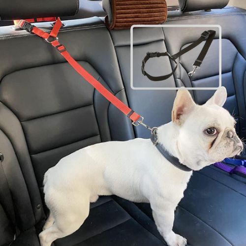 Laisse Chien, pour Voiture : Voyagez Sereinement, en toute sécurité et polyvalence
