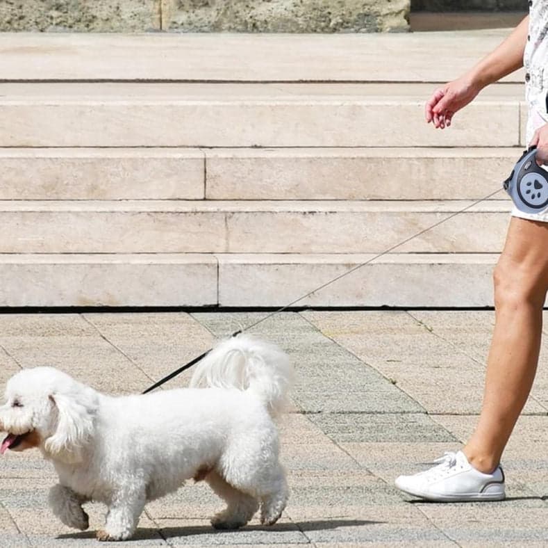 Laisse enrouleur pour chien Promenades Stylées, Confort Idéal - Jappy Toutou