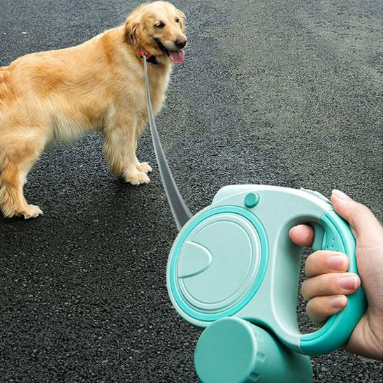 Laisse pour Chien | Robustesse™ bien choisie transforme ces moments ordinaires en souvenirs précieux.