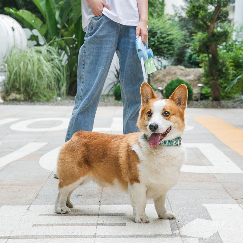 Laisse pour Chien | Robustesse™ bien choisie transforme ces moments ordinaires en souvenirs précieux.