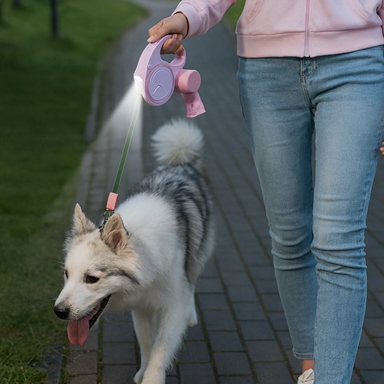 Laisse pour Chien | Robustesse™ bien choisie transforme ces moments ordinaires en souvenirs précieux.