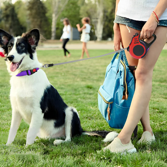 Laisse pour chien RetracLeash™- Noir-rouge- www.jaappytoutou.com