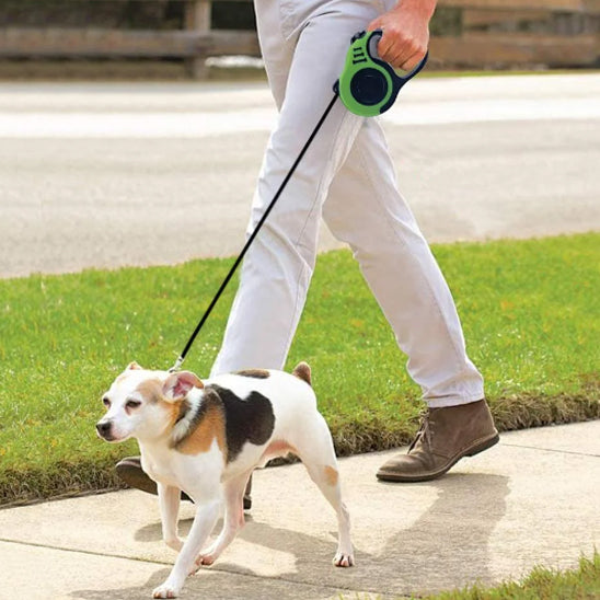 Laisse pour chien -RetracLeash™- vert-noir-
