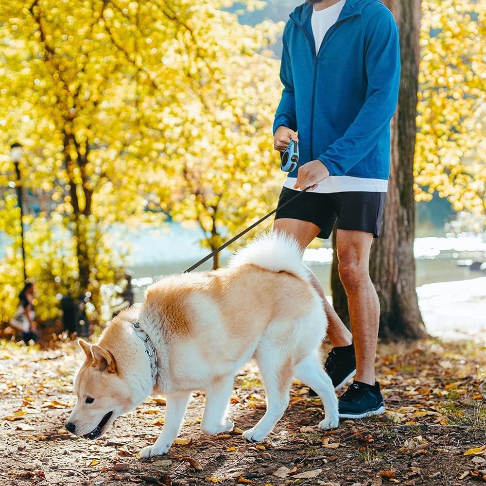 Laisse pour chien RetracLeash™- marche en toute saison