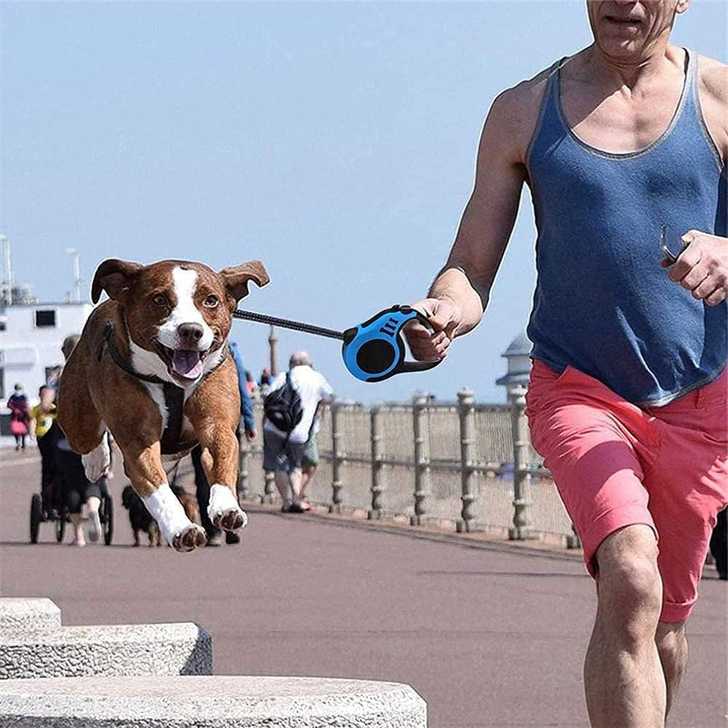Laisse pour chien RetracLeash™- toute activités. www.jappytoutou.com