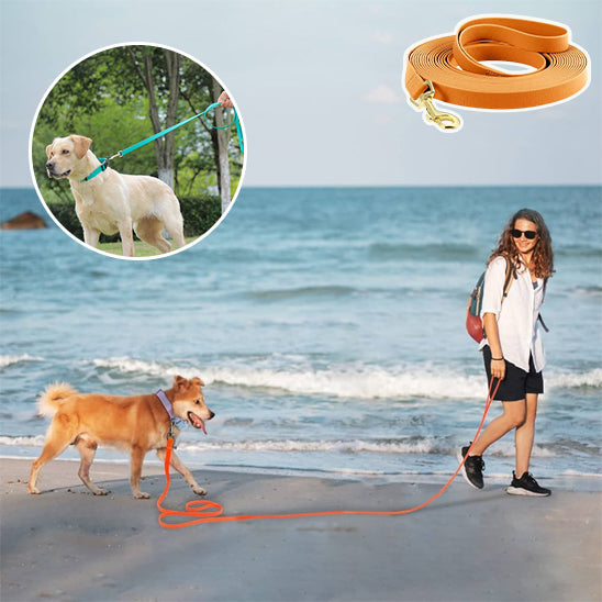 Longe chien, des Aventures Remplies de complicité