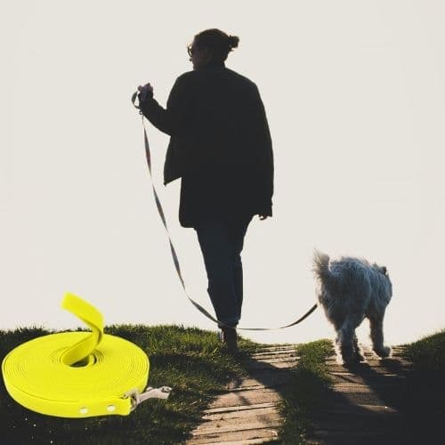 Longe Chien - Liberté, Sécure plaisir au Quotidien - Jappy Toutou