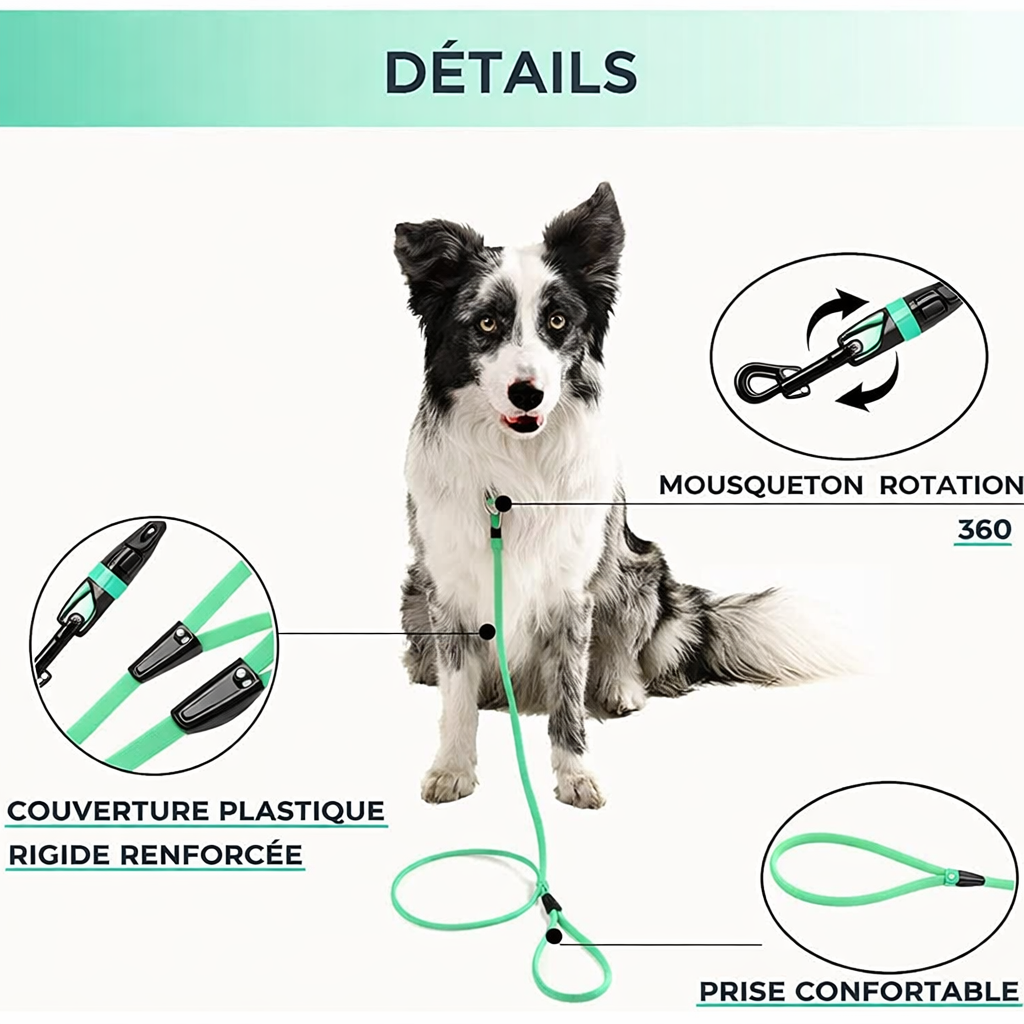 Longe pour chien • PuppyLink™ Détail