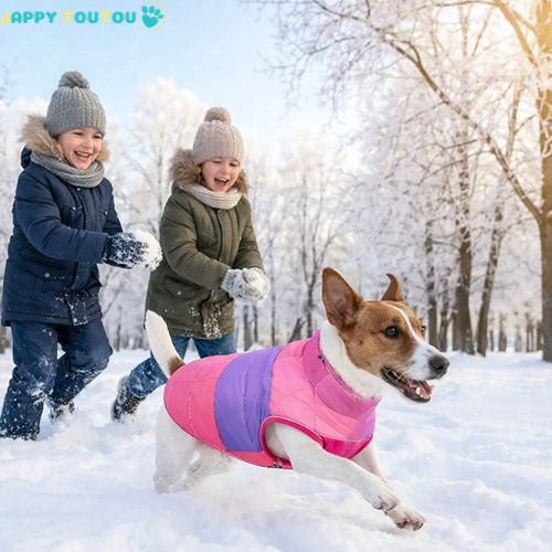 Manteau pour Chien | ActiDog Vibe™ adapté, Réconfortant en tout temps