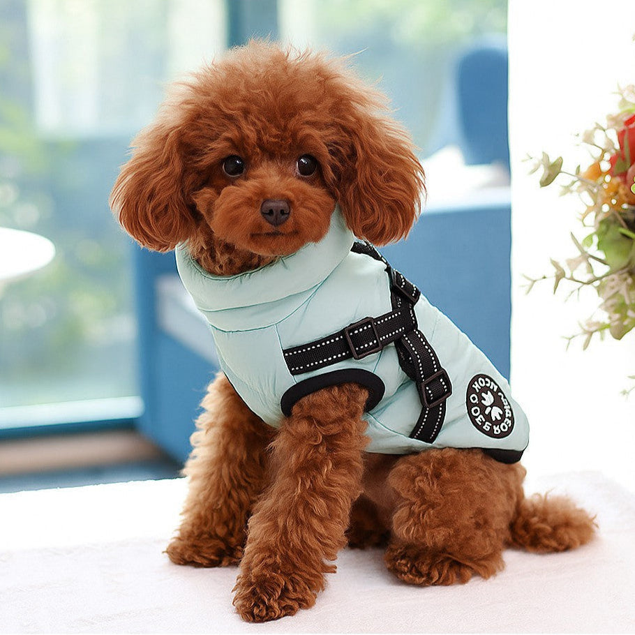 Vêtement chien / ThermoProtect: confort, protection