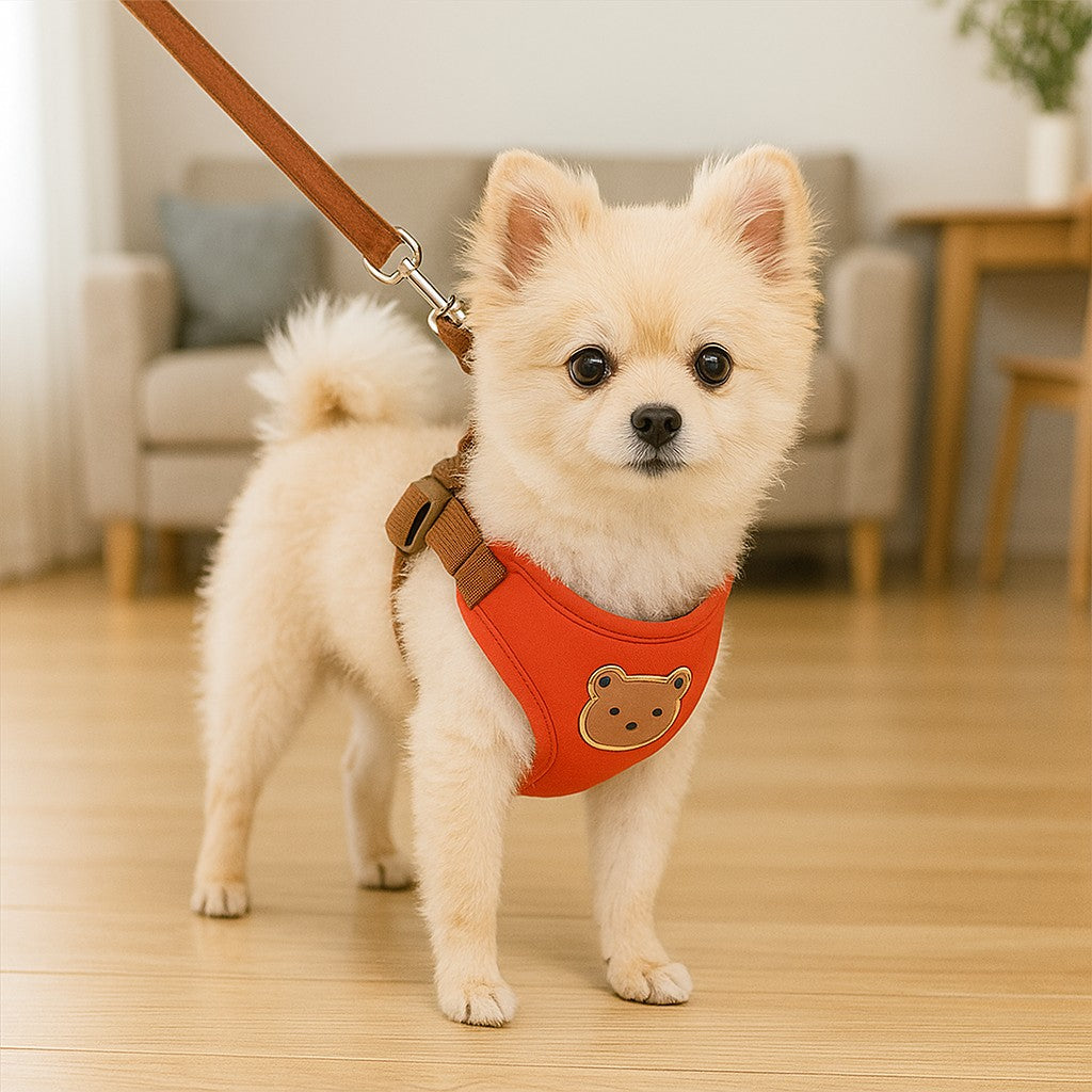 confort optimal d'un harnais pour petit chien