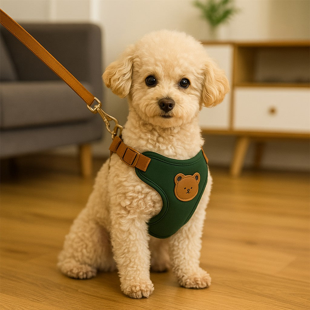 confort optimal d'un harnais pour petit chien