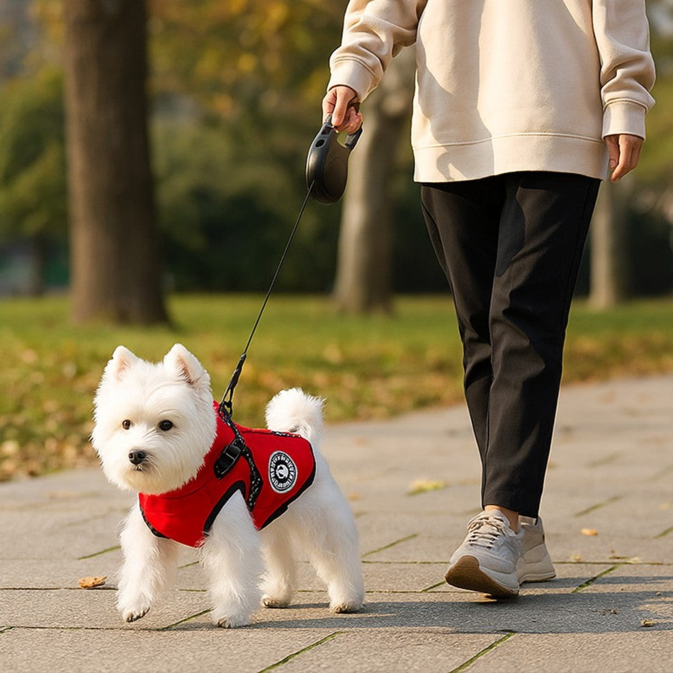 Vêtement chien / ThermoProtect: confort, protection