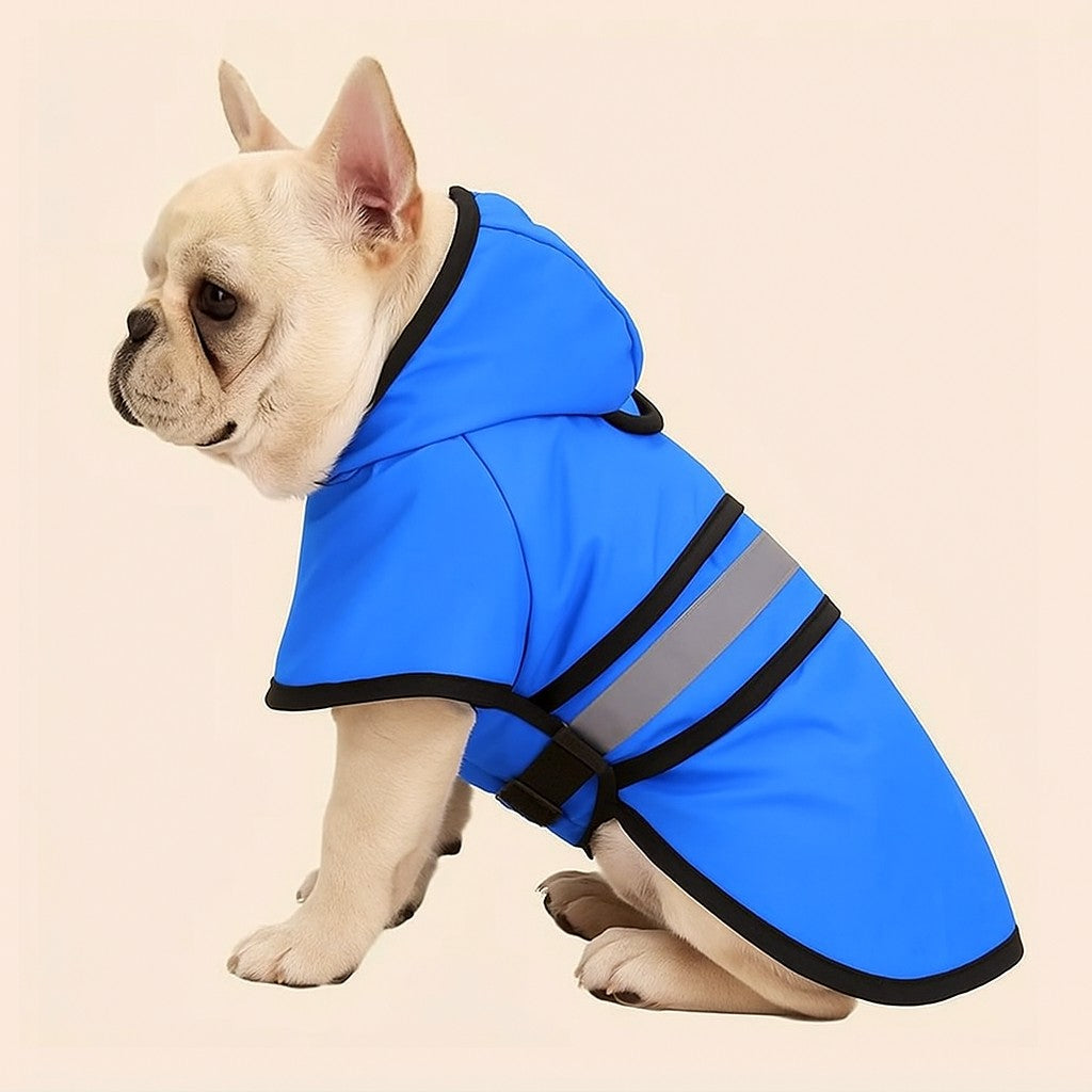 Les bienfaits d'un manteau pour chien au quotidien