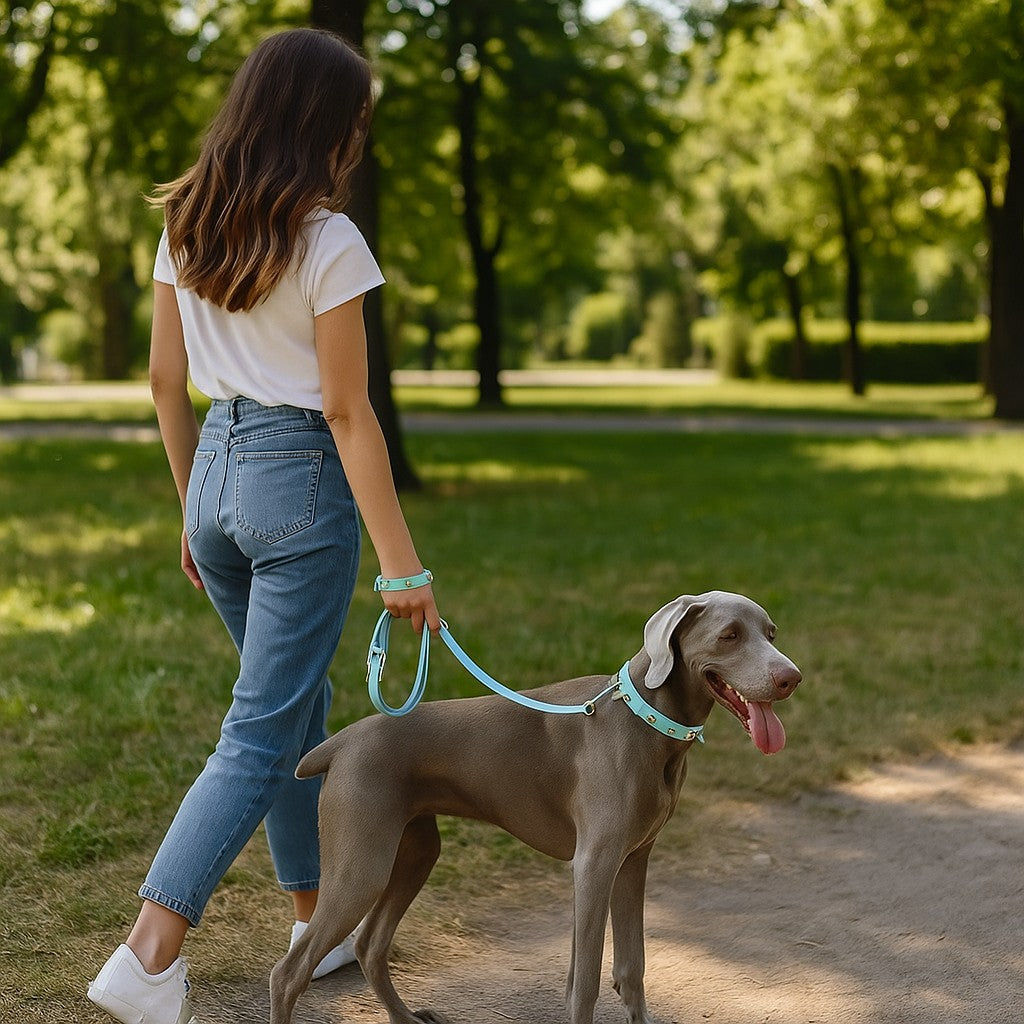 Confort quotidien avec le Collier pour chien - Bandit de Rue™