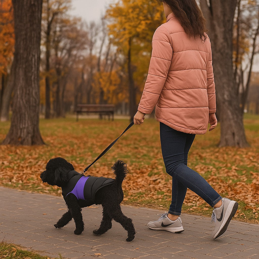 VĂȘtement chien | Douillette 3 Saisons