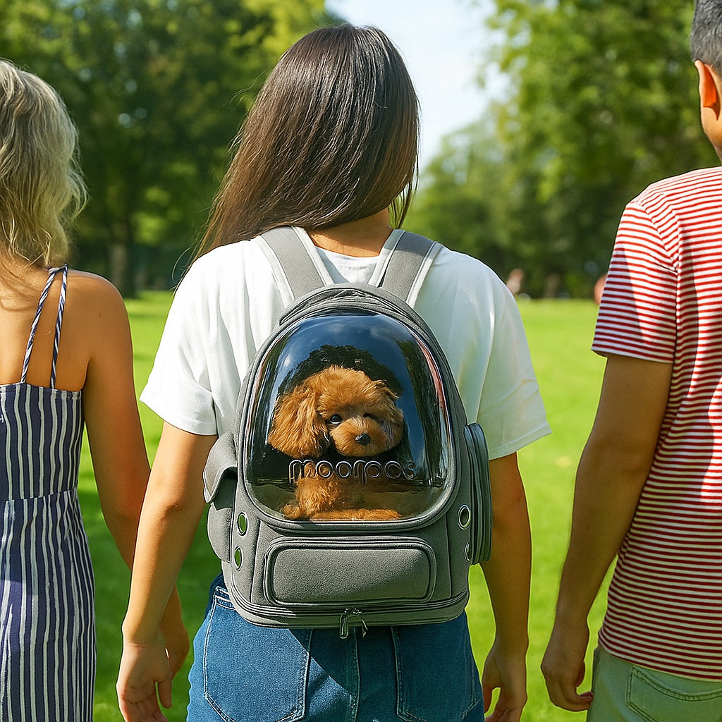 Une Sac transport chien WoufTrip⹠fraßcheur bien méritée pour le dos de votre chien⊠et le vÎtre
