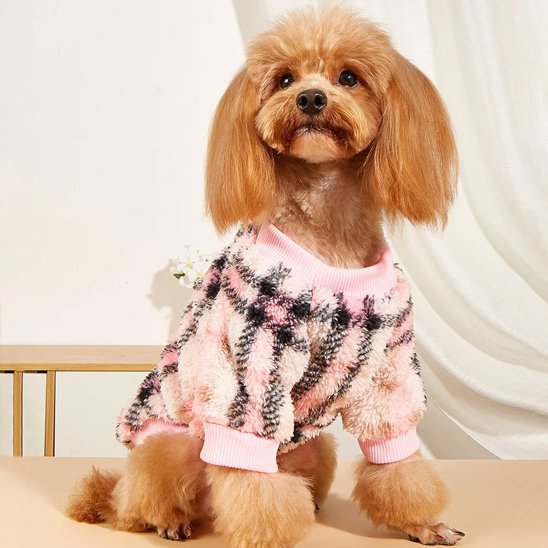 Pull pour chien : Le vêtement parfait pour une bonne chaleur