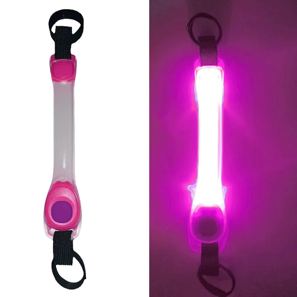 Collier Lumineux chien : gardien silencieux dans l'obscurité