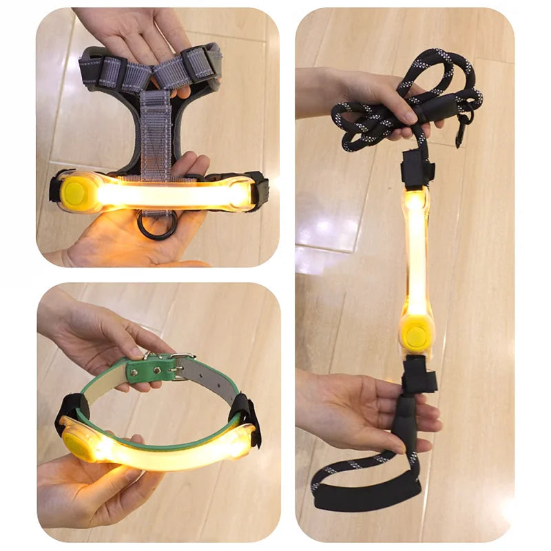 Collier Lumineux chien : gardien silencieux dans l'obscurité