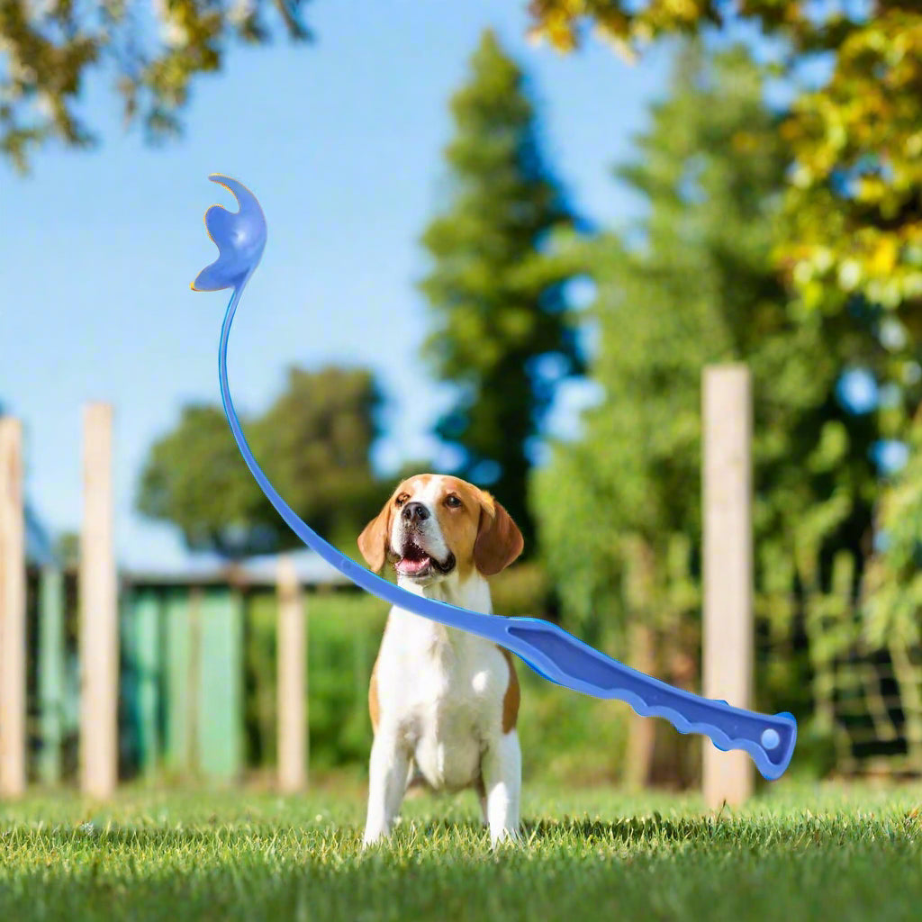 Jouet pour chien Wouf'n'Go™ : le lanceur qui transforme les jeux