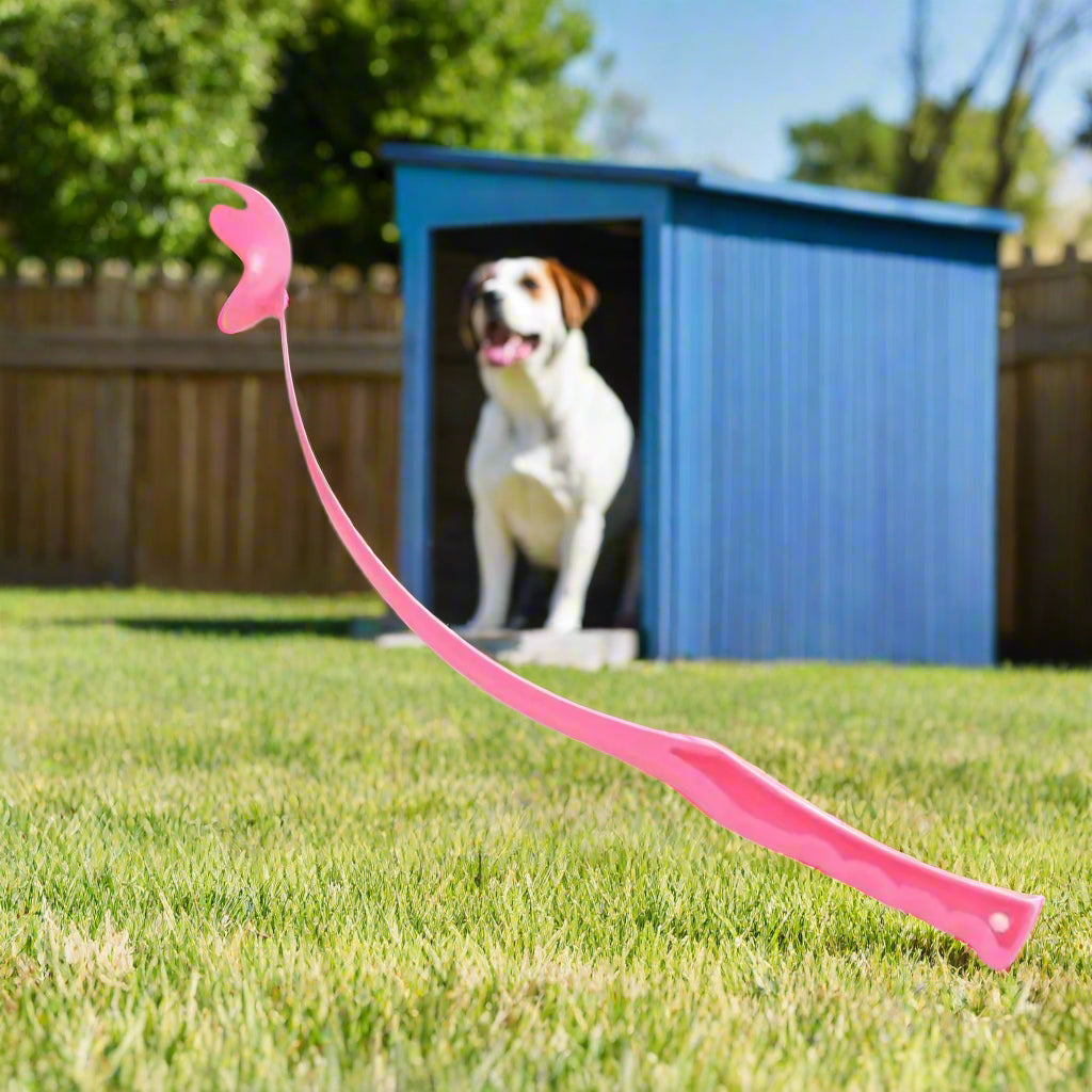Jouet pour chien Wouf'n'Go™ : le lanceur qui transforme les jeux