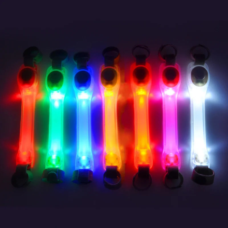 Collier Lumineux chien : gardien silencieux dans l'obscurité