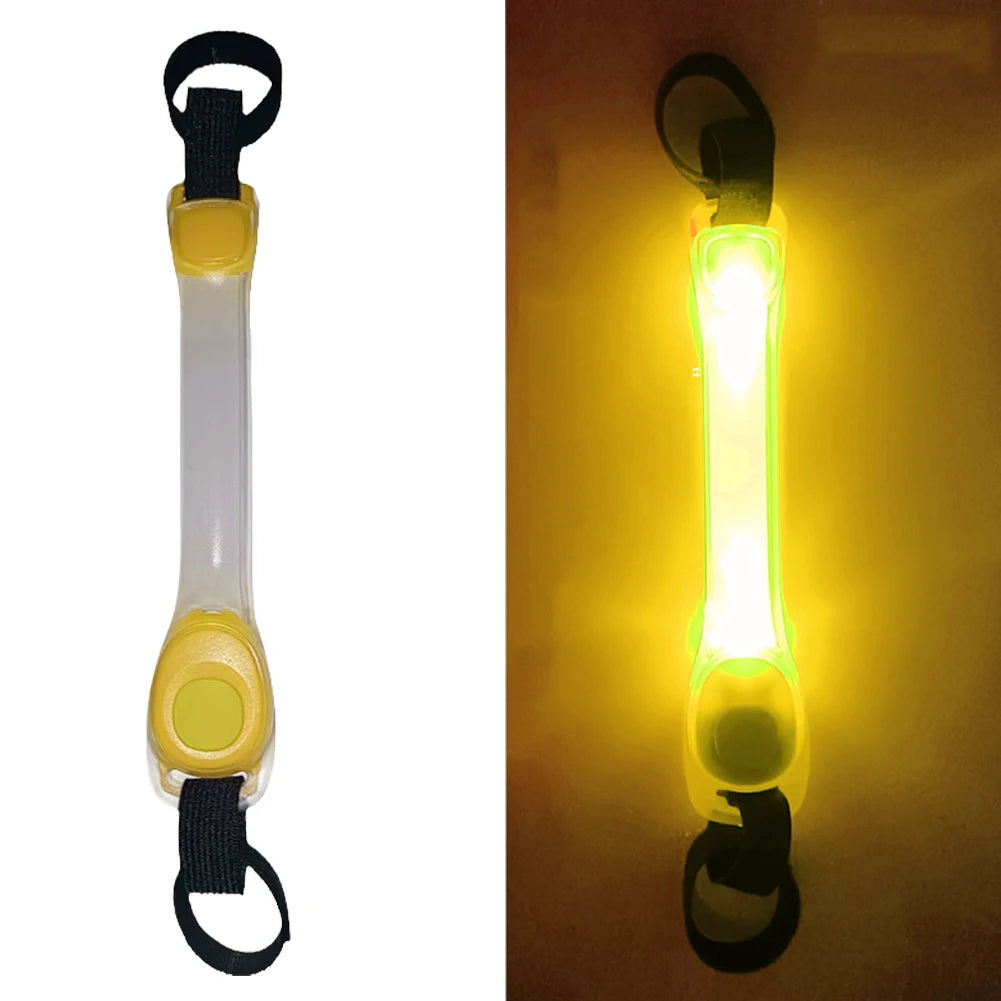 Collier Lumineux chien : gardien silencieux dans l'obscurité