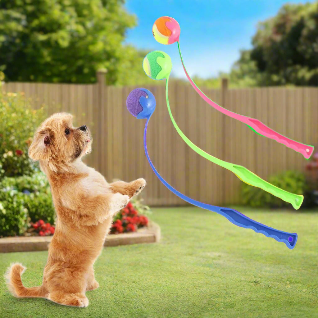 Jouet pour chien Wouf'n'Go™ : le lanceur qui transforme les jeux