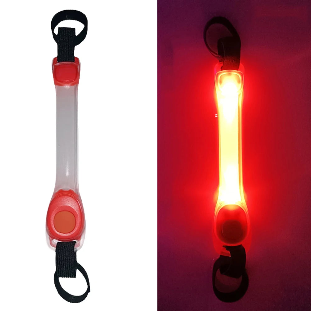 Collier Lumineux chien : gardien silencieux dans l'obscurité