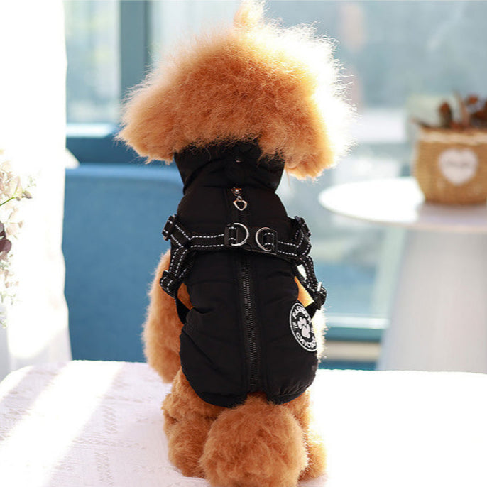Vêtement chien / ThermoProtect: confort, protection