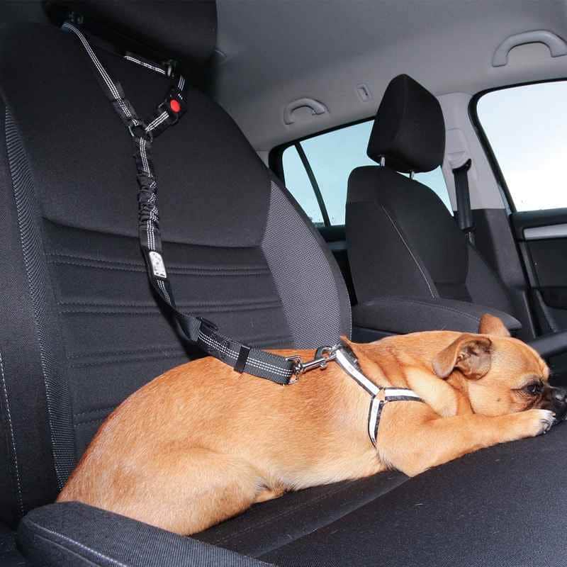Ceinture de sécurité pour chien | JappyToutouSafe™ - Jappy Toutou