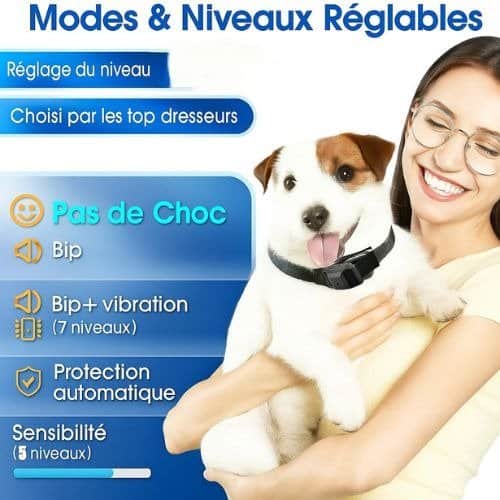 Collier anti aboiement petit chien | AntiBark™ - Jappy Toutou
