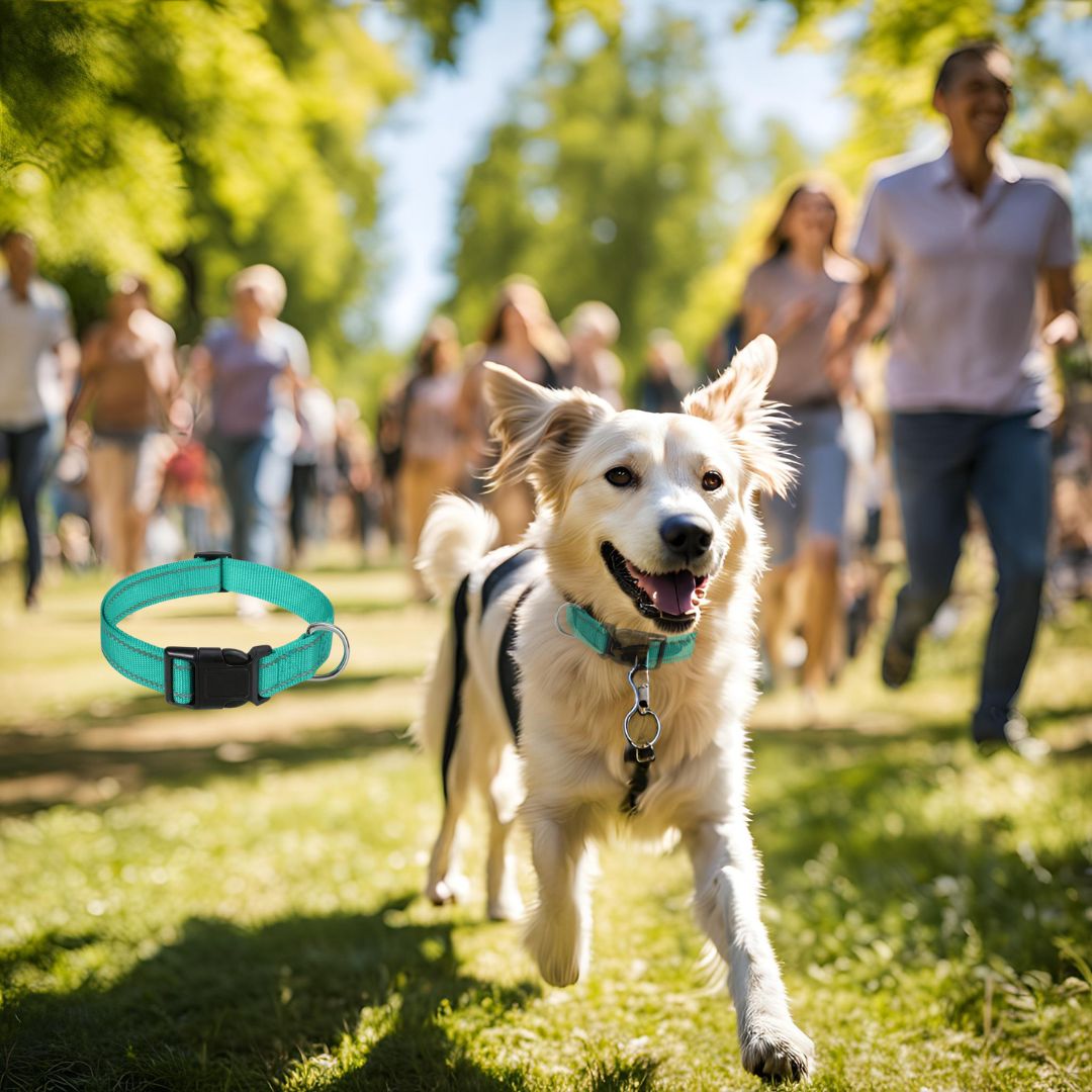 Collier chien, Stylisé, coloré au goût de Votre Toutou - Jappy Toutou