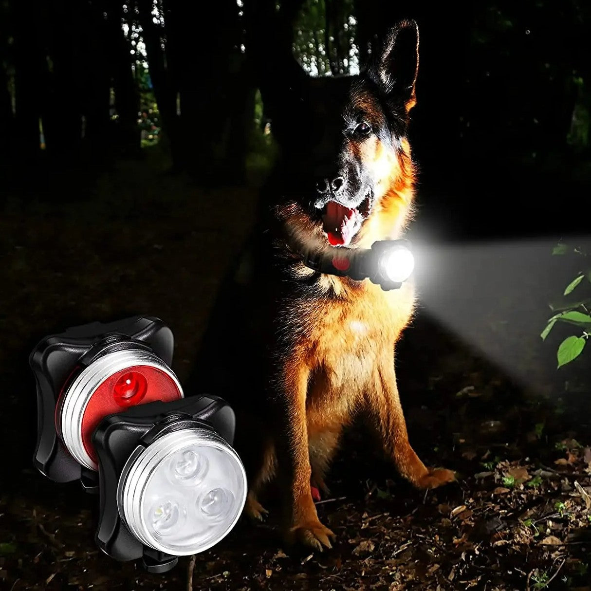 Collier Lumineux Chien : La Solution Ultime pour la Sécurité Nocturne. - Jappy Toutou