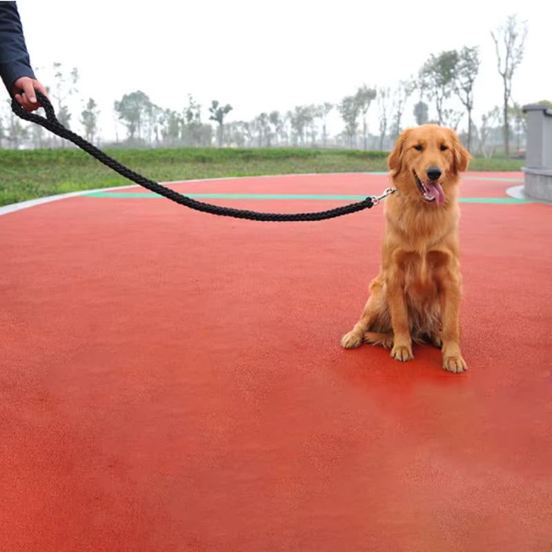 laisse pour chien noir fait de nylon tressé