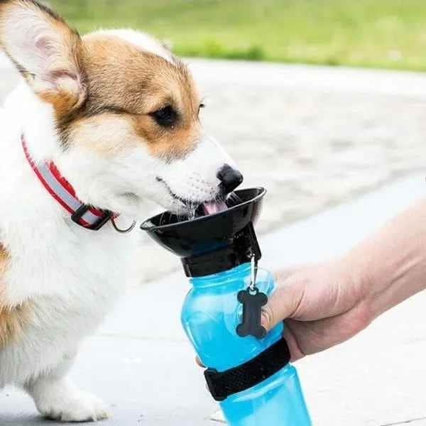 Gourde pour chien | JappyHydratou™ - Jappy Toutou