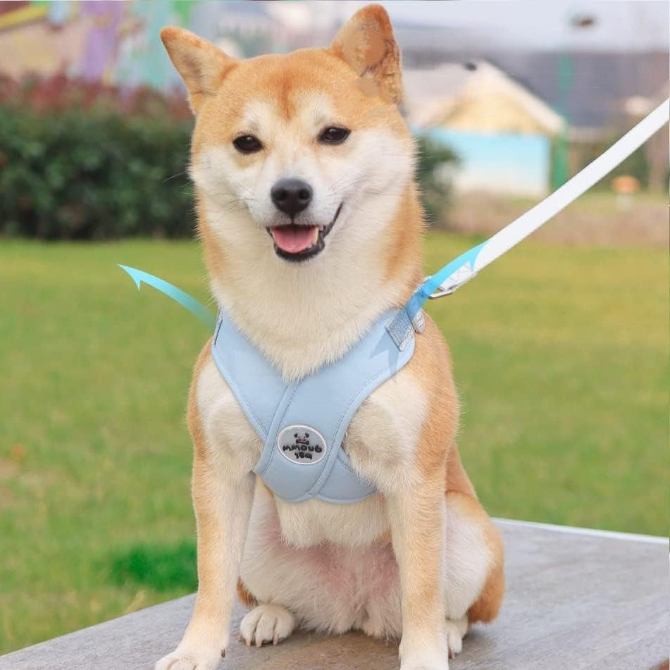 Harnais anti traction Chien : La Solution Ultime pour des Promenades Confortables et Sécurisées - www.JappyToutou.com