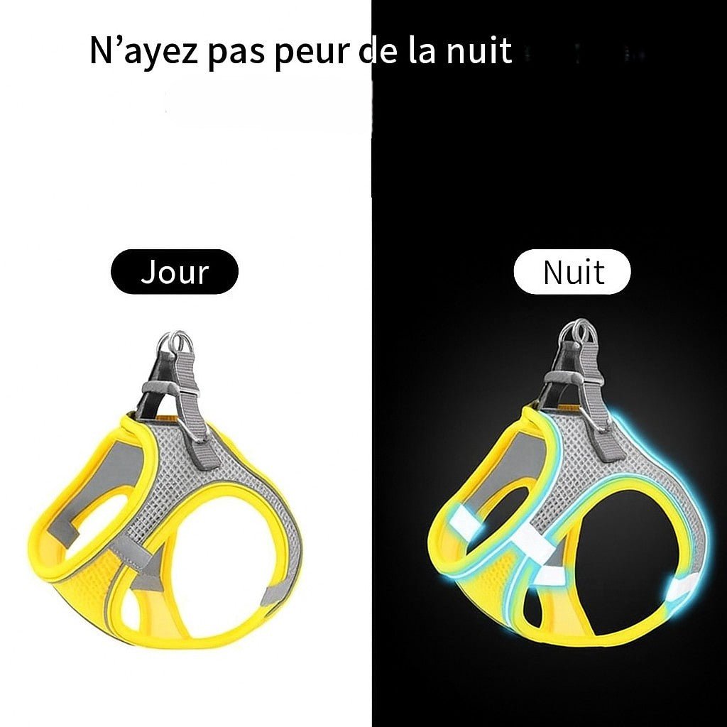 Harnais chiot | ChiotGo2!™ - Jappy Toutou