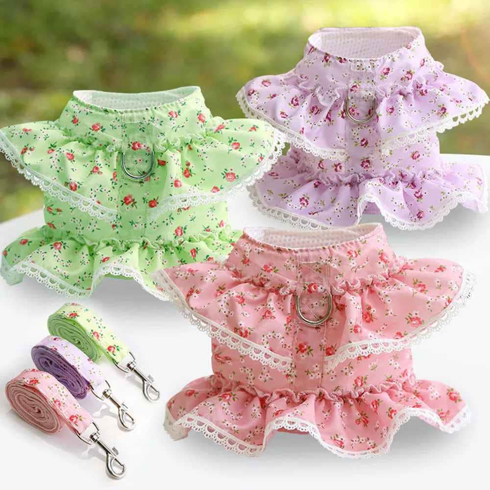 Harnais petit Chien | Joie petite Patte™ - Jappy Toutou
