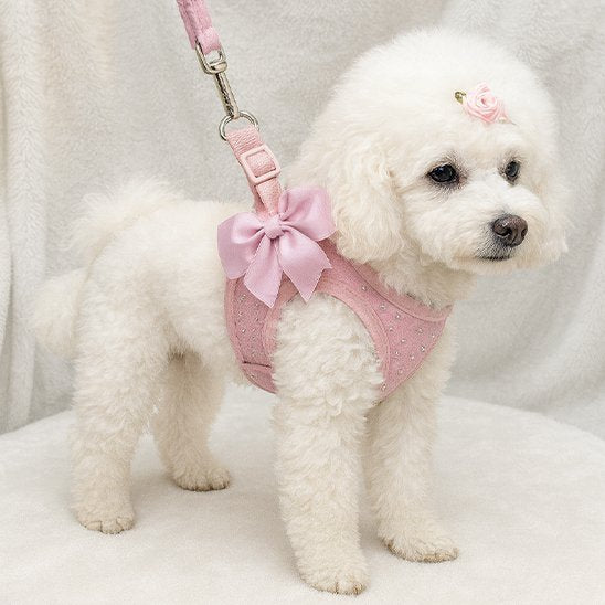 Harnais pour petit chien | PetComfort™ Rose - Jappy Toutou