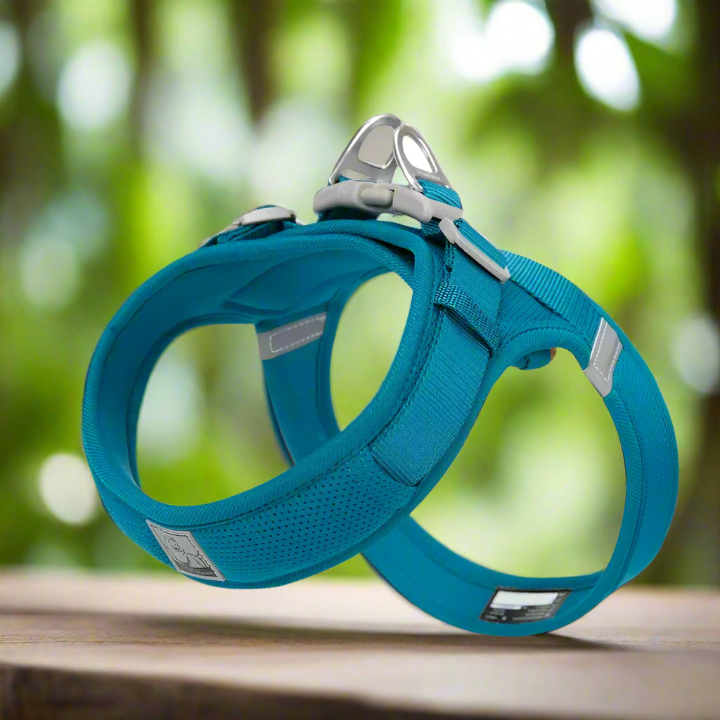 Harnais en y - BLEU - PETIT MOYEN GRAND CHIEN
www.jappytoutou.com
