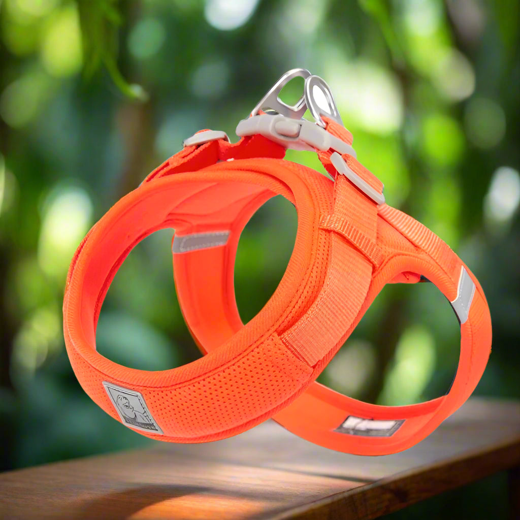Harnais en y -ORANGE - PETIT MOYEN GRAND CHIEN
www.jappytoutou.com