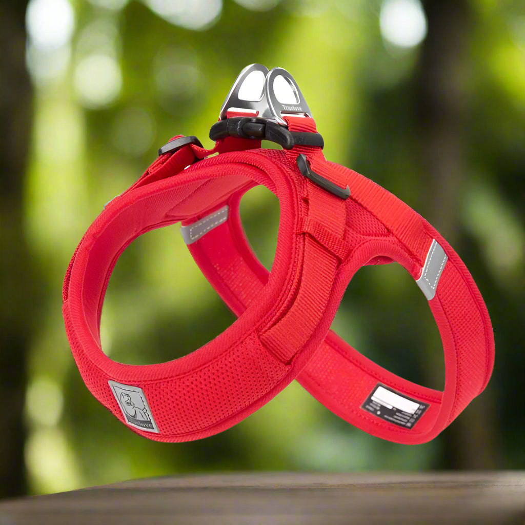 Harnais en y - ROUGE - PETIT MOYEN GRAND CHIEN
www.jappytoutou.com