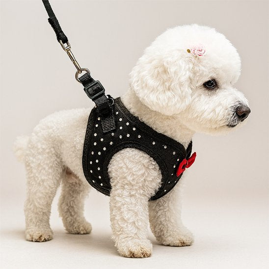 harnais petit chien-PetComfort™ qui transforme vos promenades quotidiennes