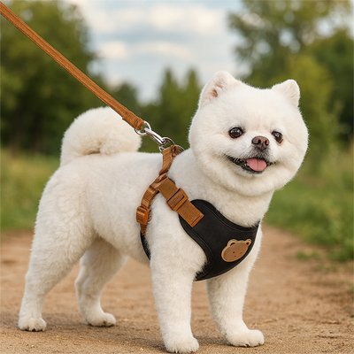confort optimal d'un harnais pour petit chien