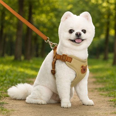 confort optimal d'un harnais pour petit chien