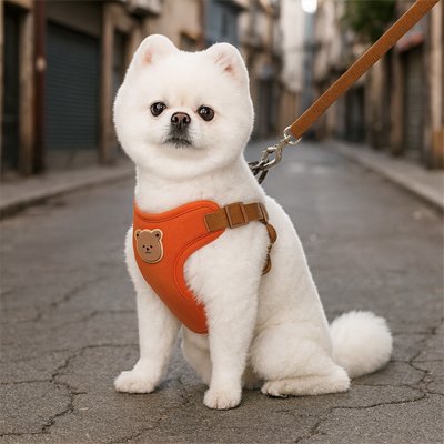 confort optimal d'un harnais pour petit chien
