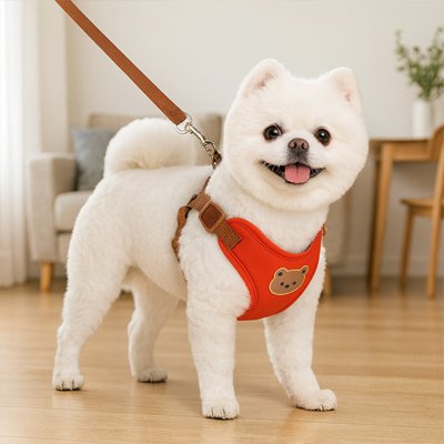 confort optimal d'un harnais pour petit chien