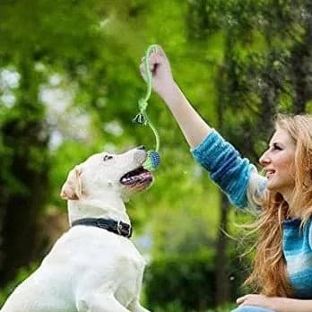 Jouet chien | Tire-Truffe™ jeu idéal - Jappy Toutou